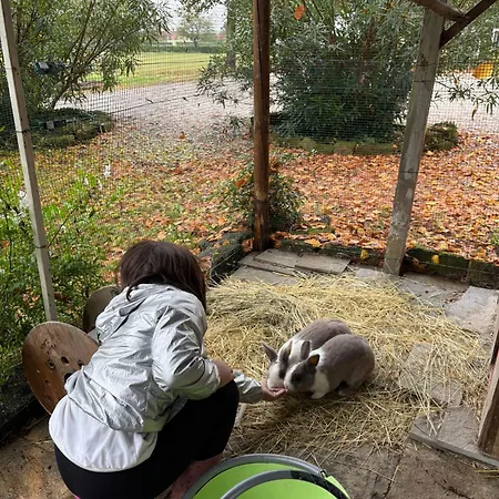 Agrituristico Zambon Pozzobon